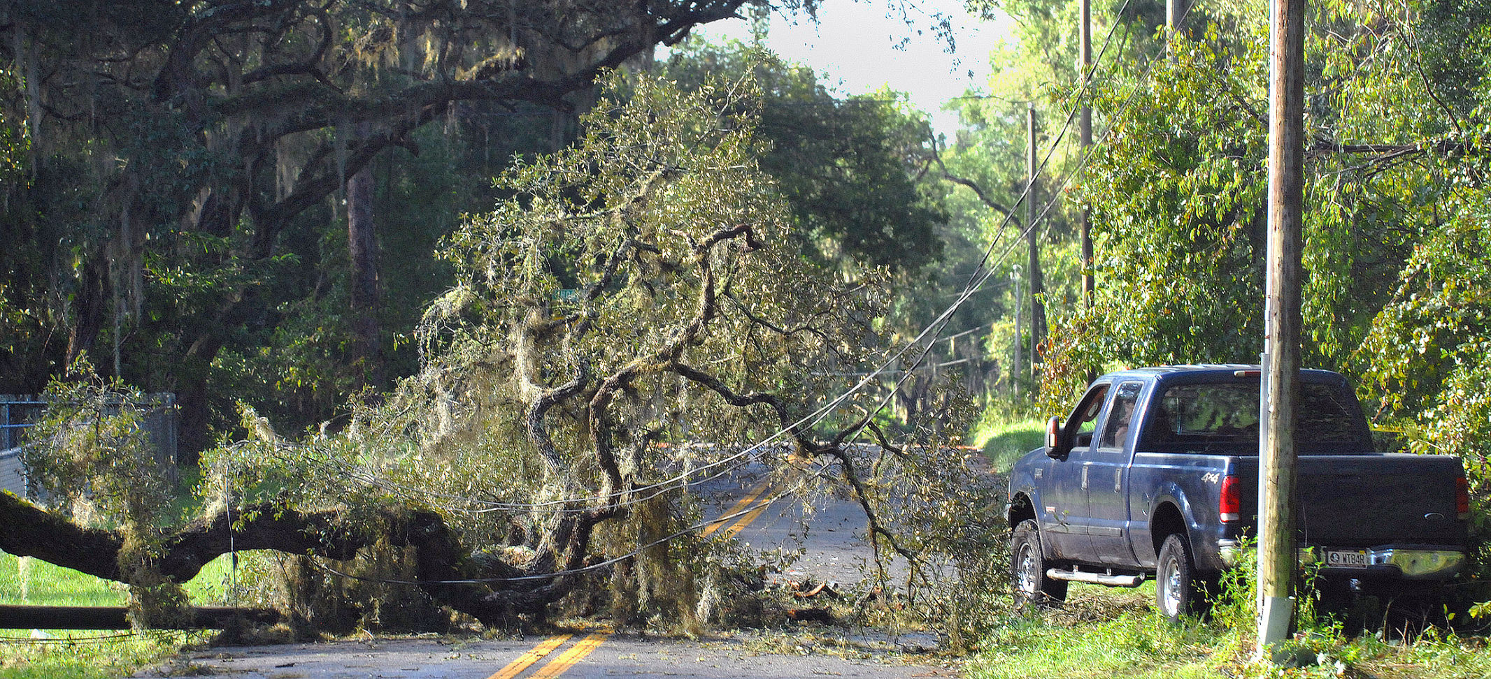 Irma power lines down